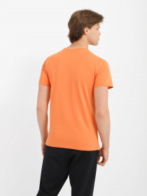 Футболка Роза модель 201234_1 Футболка Роза модель 201234_1 Фото