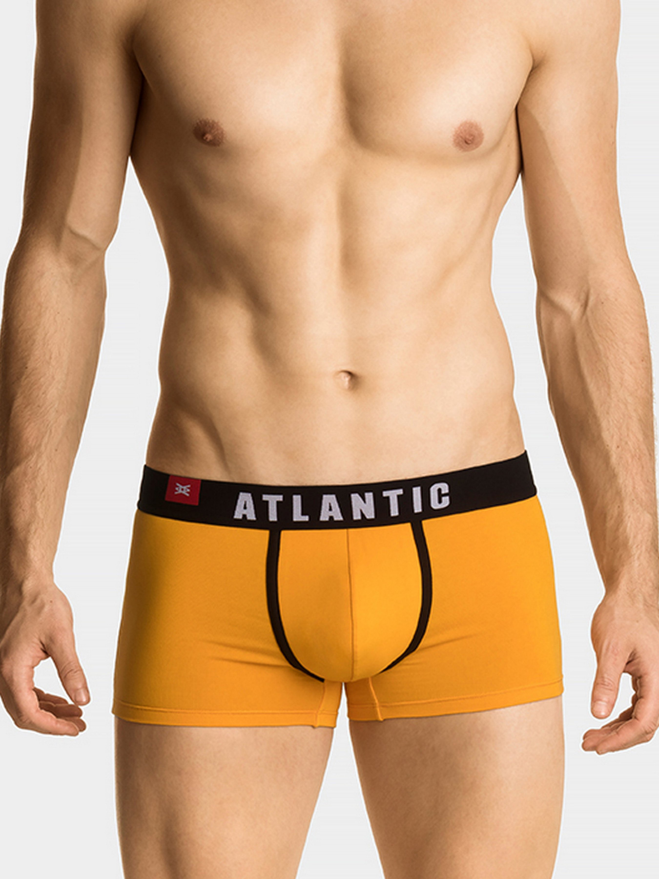 Набір трусів Atlantic модель 3MH-014_DEN_ZOL_SZM Фото
