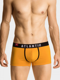 Набір трусів Atlantic модель 3MH-014_DEN_ZOL_SZM Фото