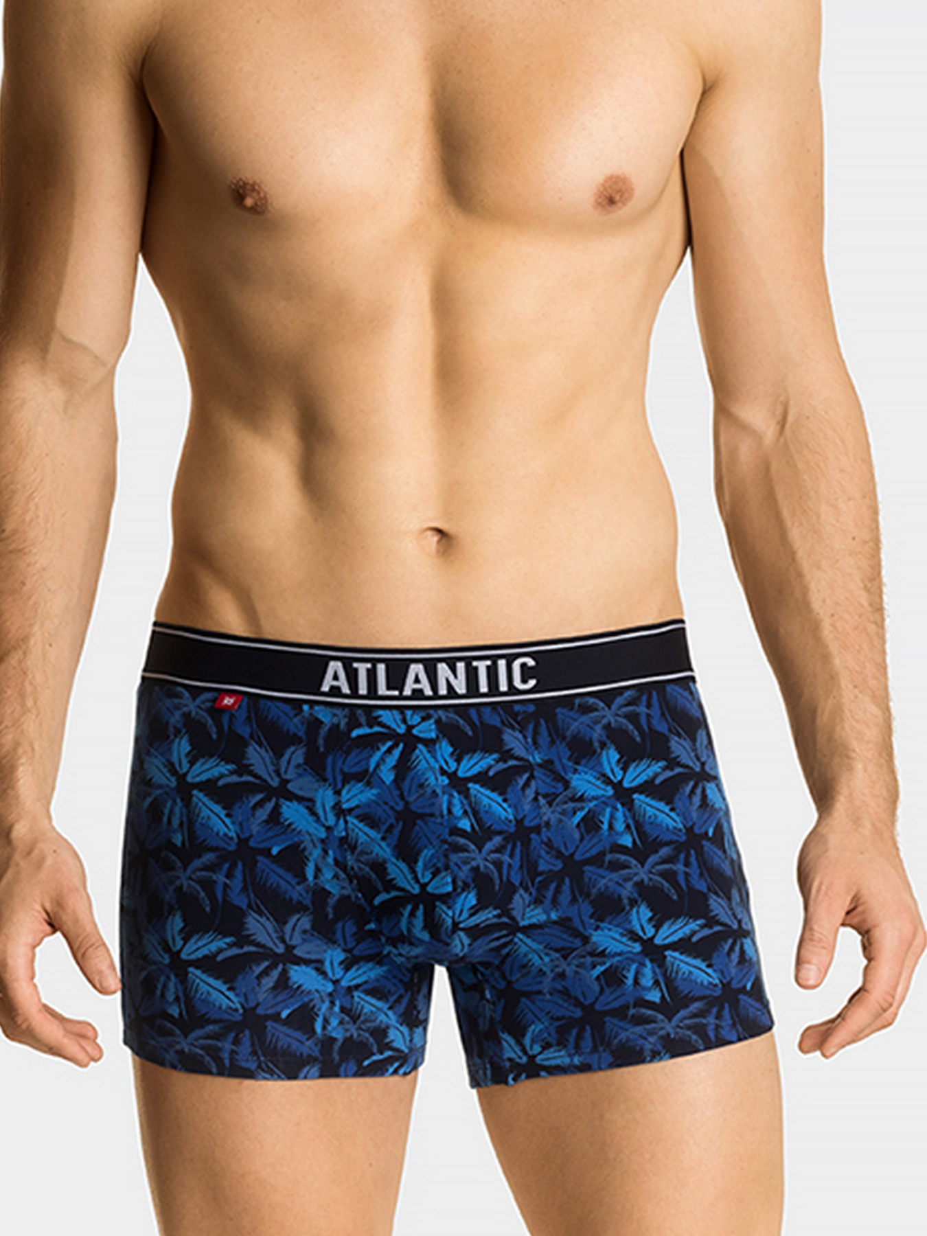 Набор трусов Atlantic модель 2GMH-010_GRA_NIEC Фото