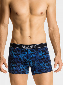 Набір трусів Atlantic модель 2GMH-010_GRA_NIEC Фото