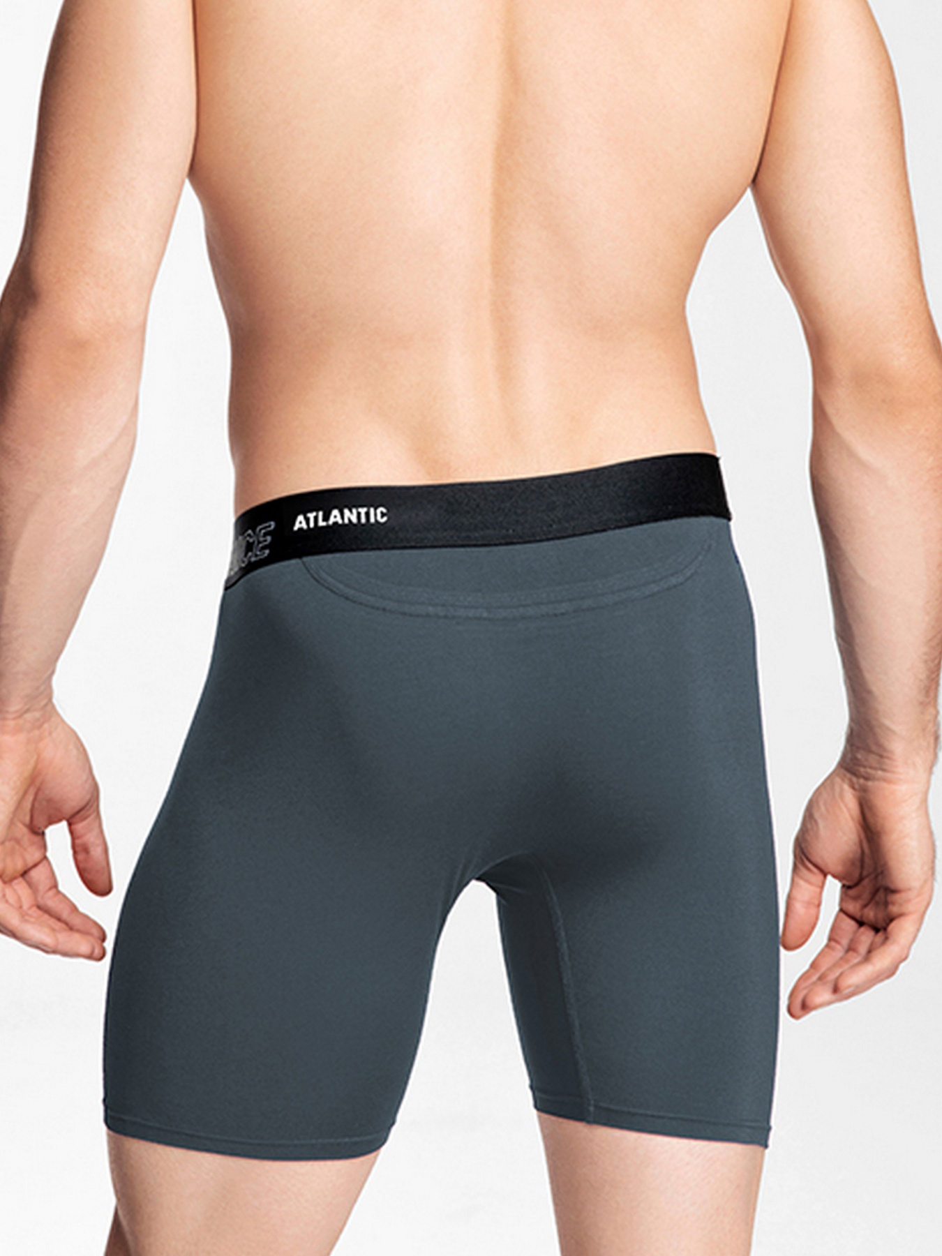 Трусы Atlantic модель MH-1181_SZG Фото