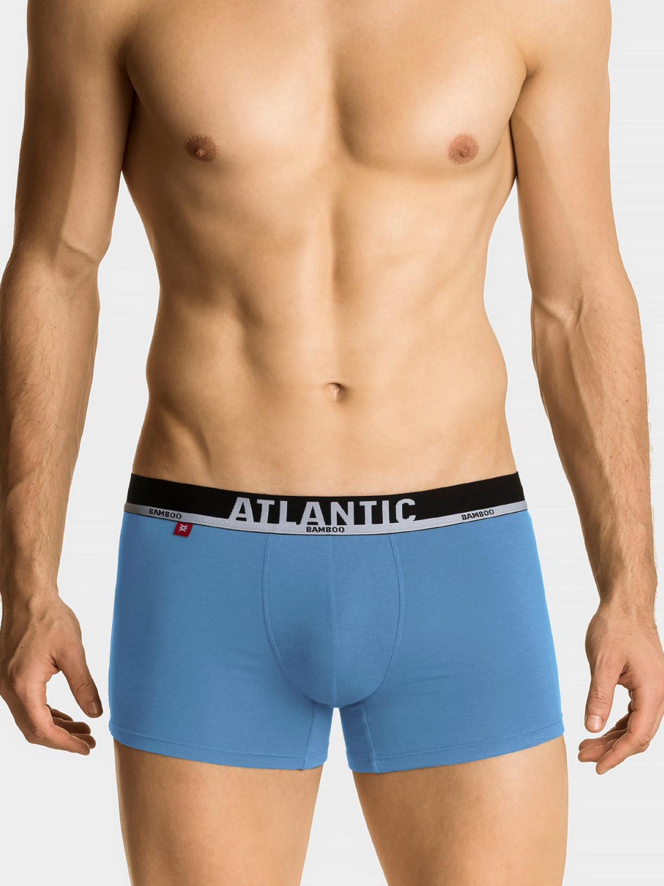 Трусы Atlantic модель MH-1187_NIE Фото