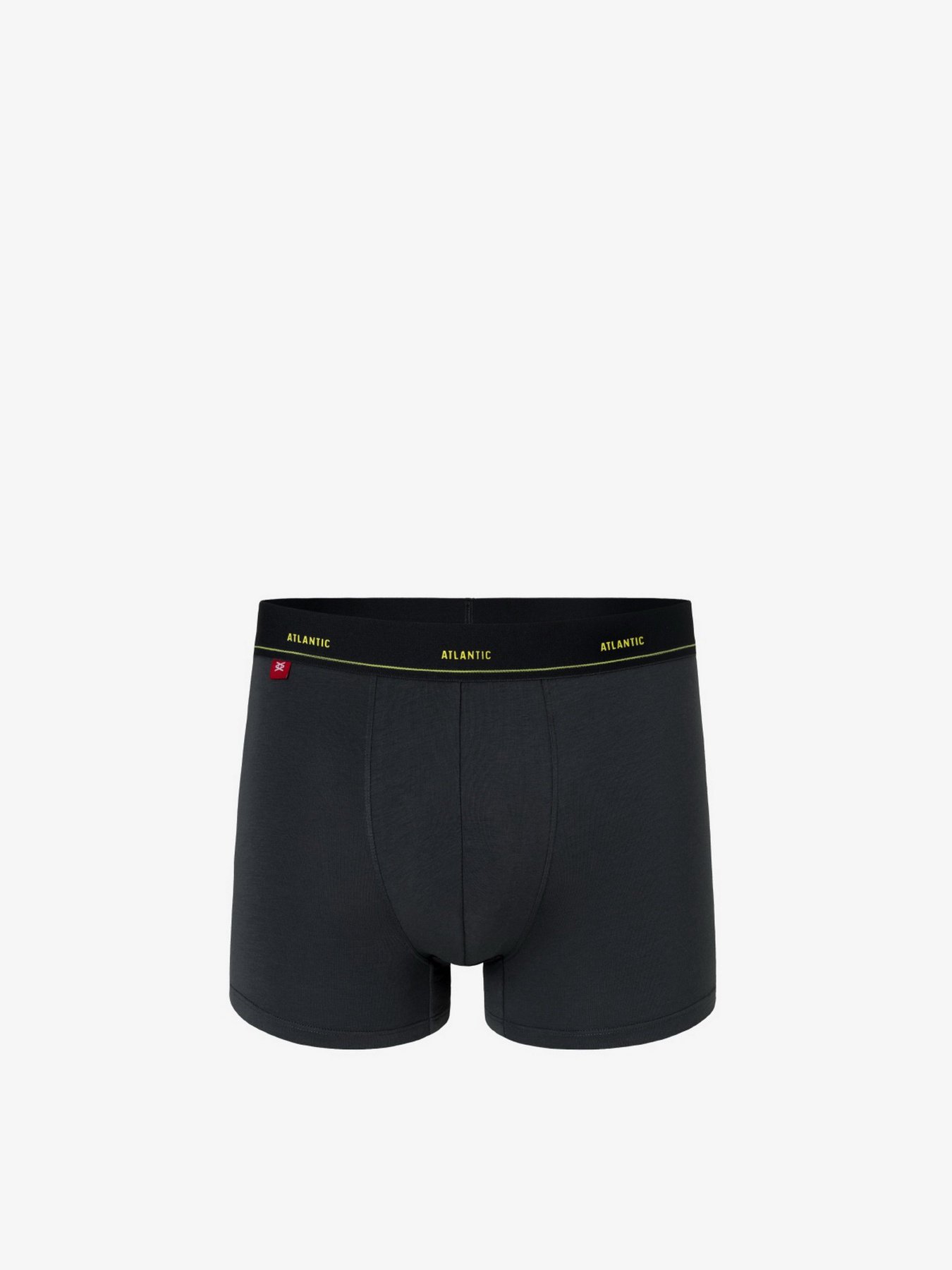 Трусы Atlantic модель MH-1190_GRF Фото