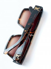 Очки ISSA Plus модель O1-43_brown Фото