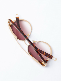 Окуляри ISSA Plus модель O1-32_brown Фото