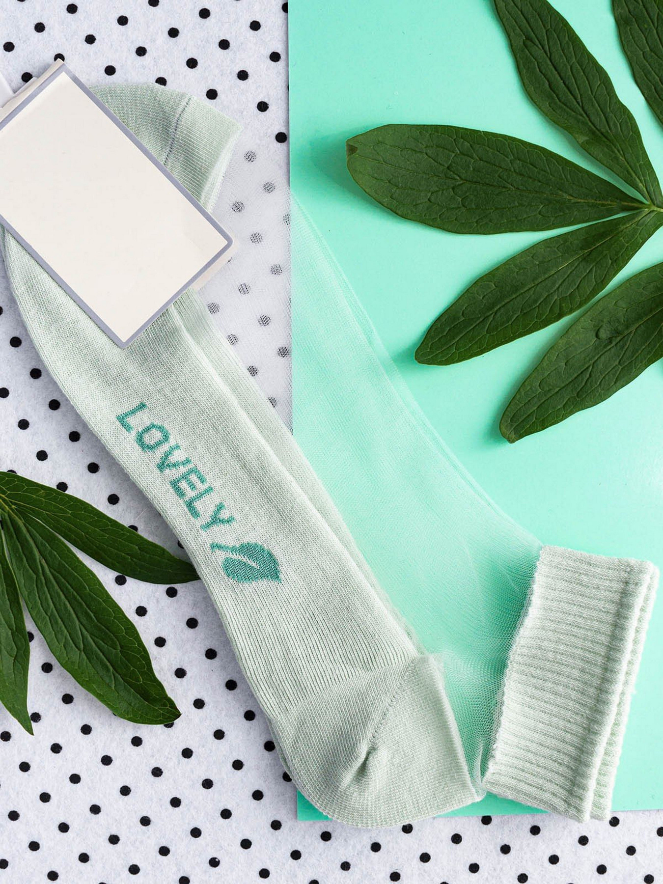 Шкарпетки та гольфи ISSA Plus модель NS-48_mint Фото