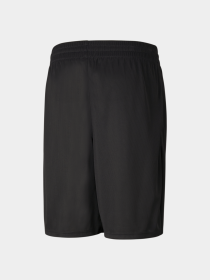 Шорти спортивні PUMA модель 520319 Фото