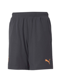 Шорти спортивні PUMA модель 605659 Фото