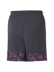 Спортивні шорти PUMA модель 605659 Фото