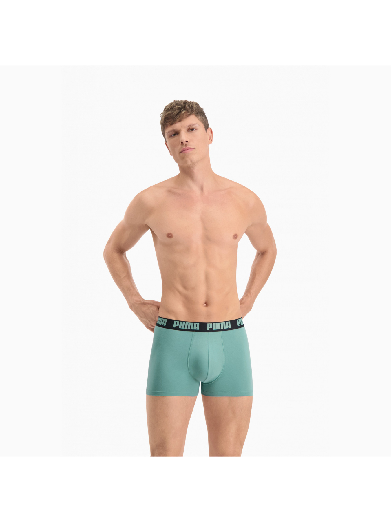 Набор трусов PUMA Basic Boxer 2p модель 906823 Фото