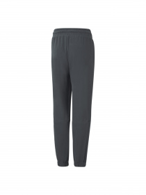 Спортивні штани PUMA модель 533885 Фото