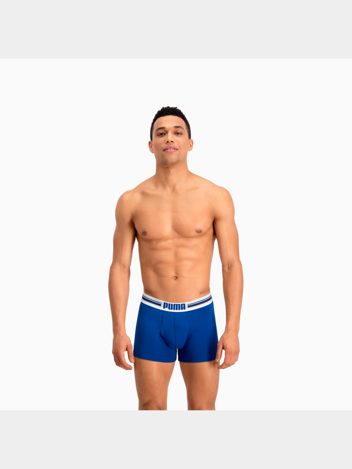 Набір трусів PUMA Placed Logo Boxer 2p модель 906519 Фото