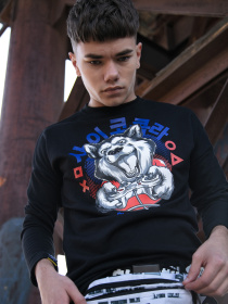 Світшот Custom Wear модель cw-swe-2910 Світшот Custom Wear модель cw-swe-2910 Фото