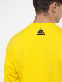 Світшот Custom Wear Модель cw-swe-3746 Фото