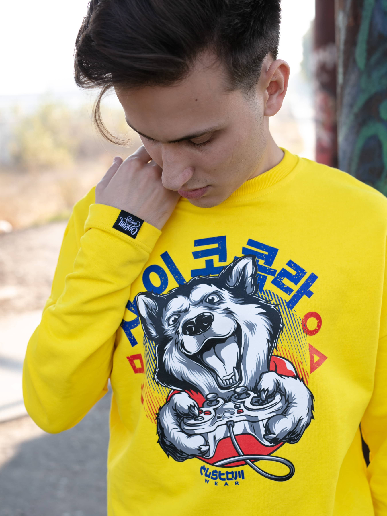 Світшот Custom Wear модель cw-swe-3746 Фото