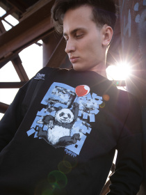 Свитшот Custom Wear модель cw-swe-8079 Фото