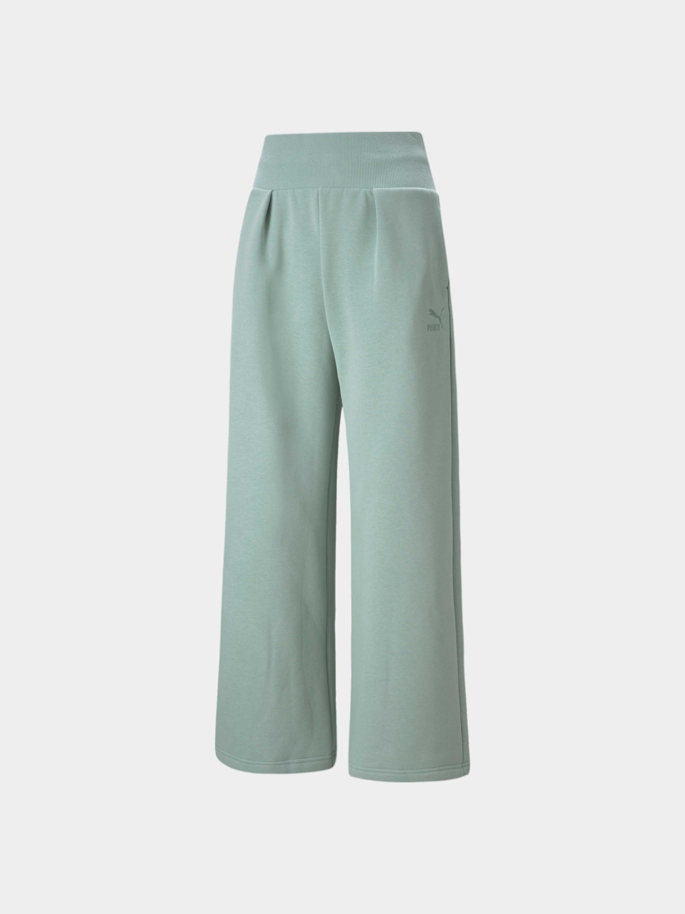 Штаны спортивные PUMA Classics Fashion Sweatpants модель 534293 Фото