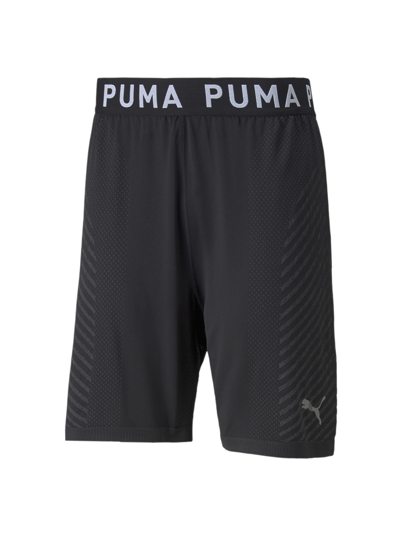 Шорты спортивные PUMA модель 521559 Фото