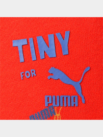 Штаны спортивные PUMA модель 533995 Фото