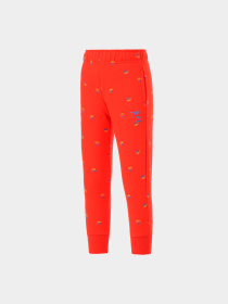 Штаны спортивные PUMA модель 533995 Фото