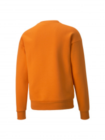 Свитшот PUMA Protec.t Crew модель 534321 Фото