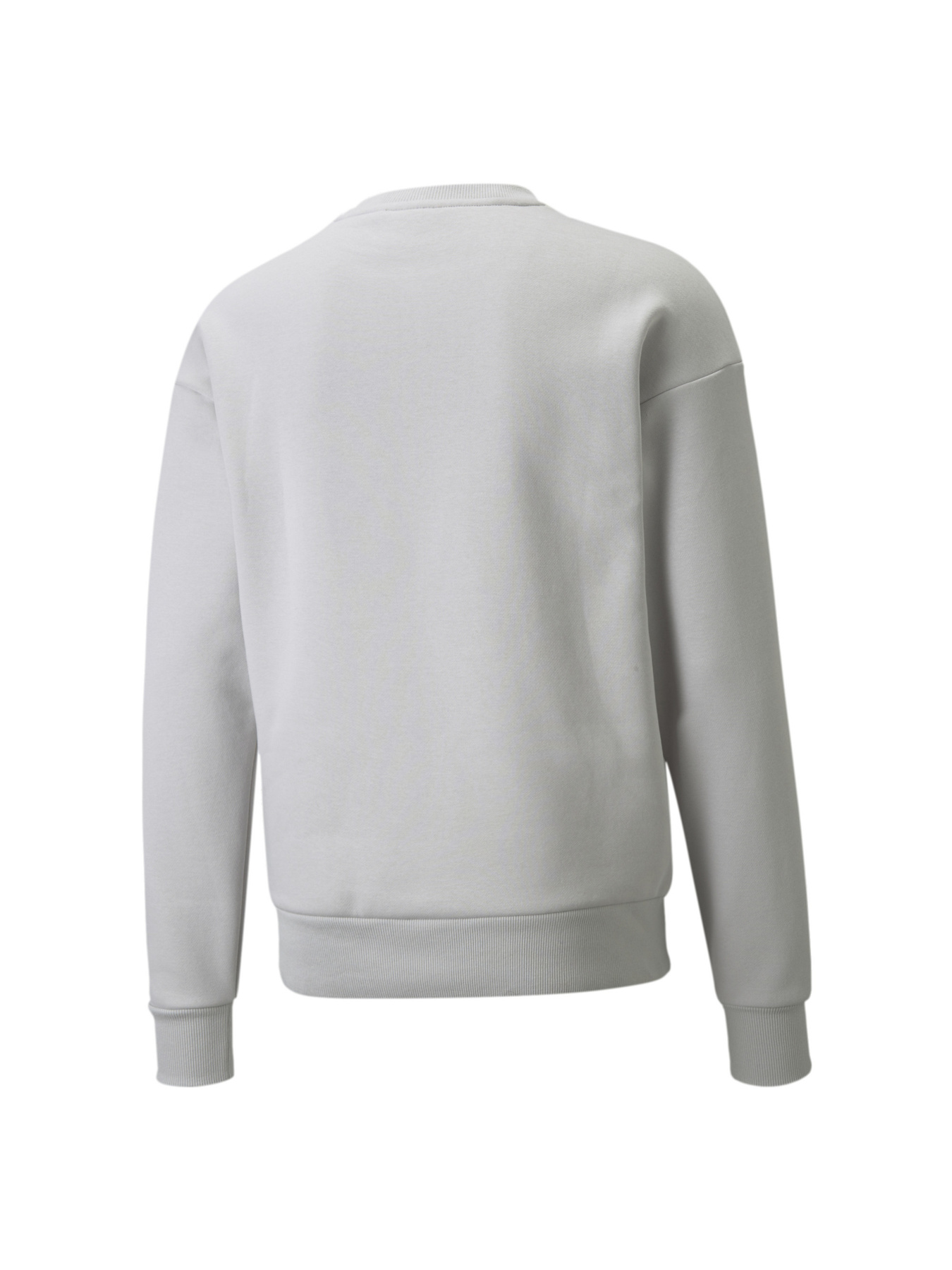 Свитшот PUMA Protec.t Crew модель 534321 Фото