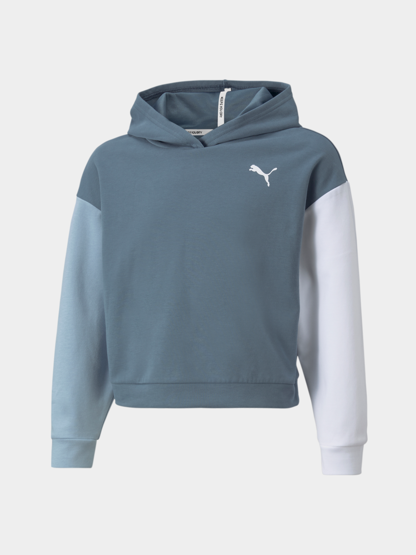 Свитшот PUMA Modern Sports Hoodie модель 589214 Фото
