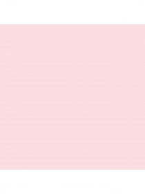 Набор носков PUMA Women Sneaker 2P модель 907955 Фото