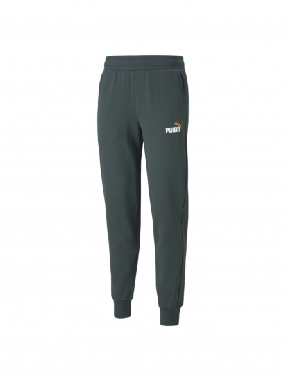 Штаны спортивные PUMA Ess+ 2 Col Logo Pants модель 586767 - фото