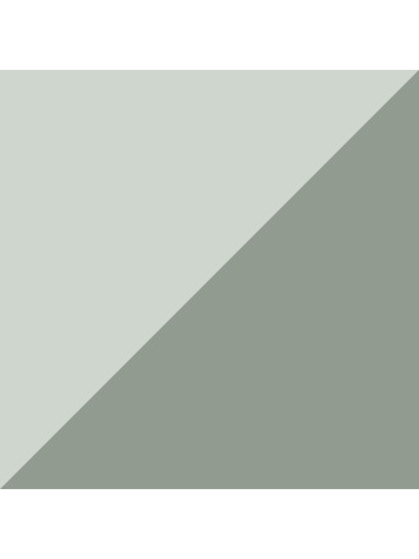 Набор носков PUMA Unisex Bwt Sneaker 2p модель 907947 Фото