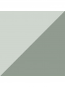 Набор носков PUMA Unisex Bwt Sneaker 2p модель 907947 Фото