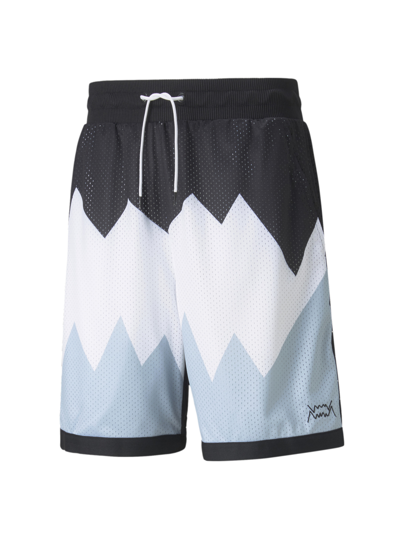 Спортивні шорти PUMA модель 532098 Фото