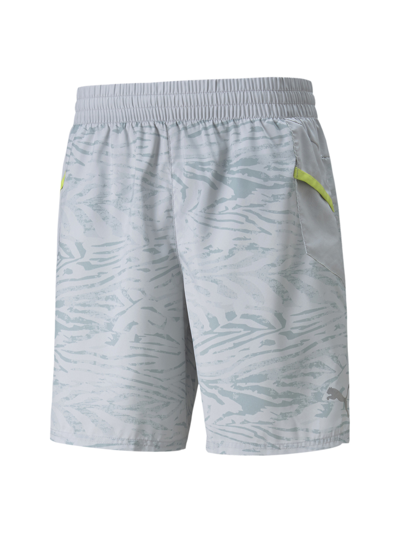 Шорты спортивные PUMA модель 521406 Фото