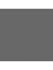 Набор носков PUMA Women Sock 2P модель 907957 Фото