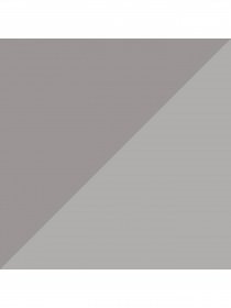 Набор носков PUMA Women Sock 2P модель 907957 Фото