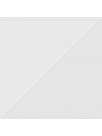 Набор носков PUMA Women Sock 2P модель 907957 Фото