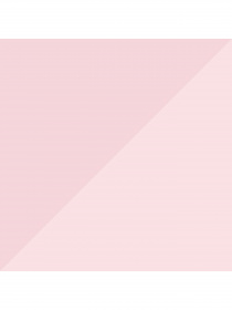 Набор носков PUMA Women Sock 2P модель 907957 Фото