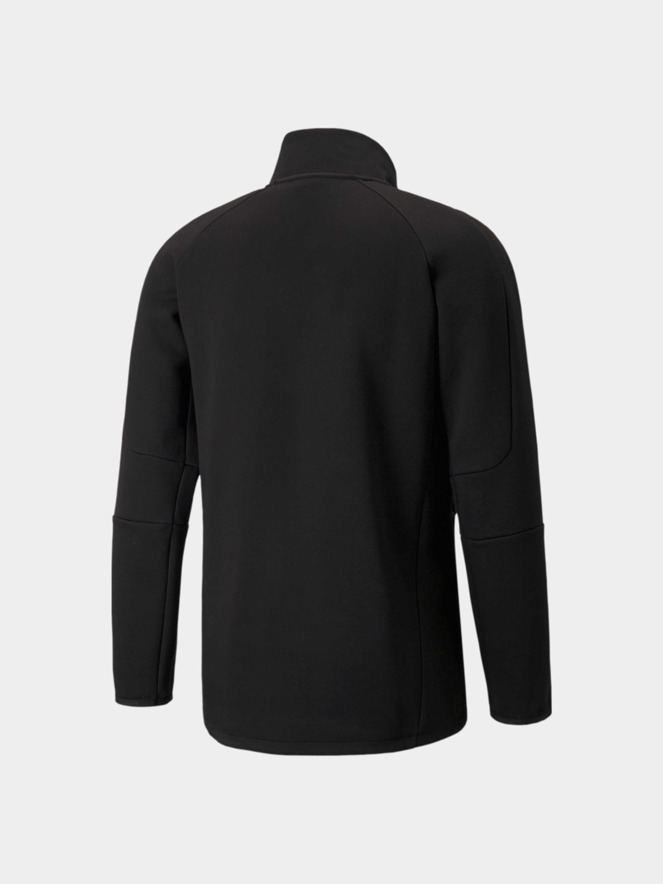 Худи и свитшоты PUMA Evostripe Half-zip модель 589419 Фото