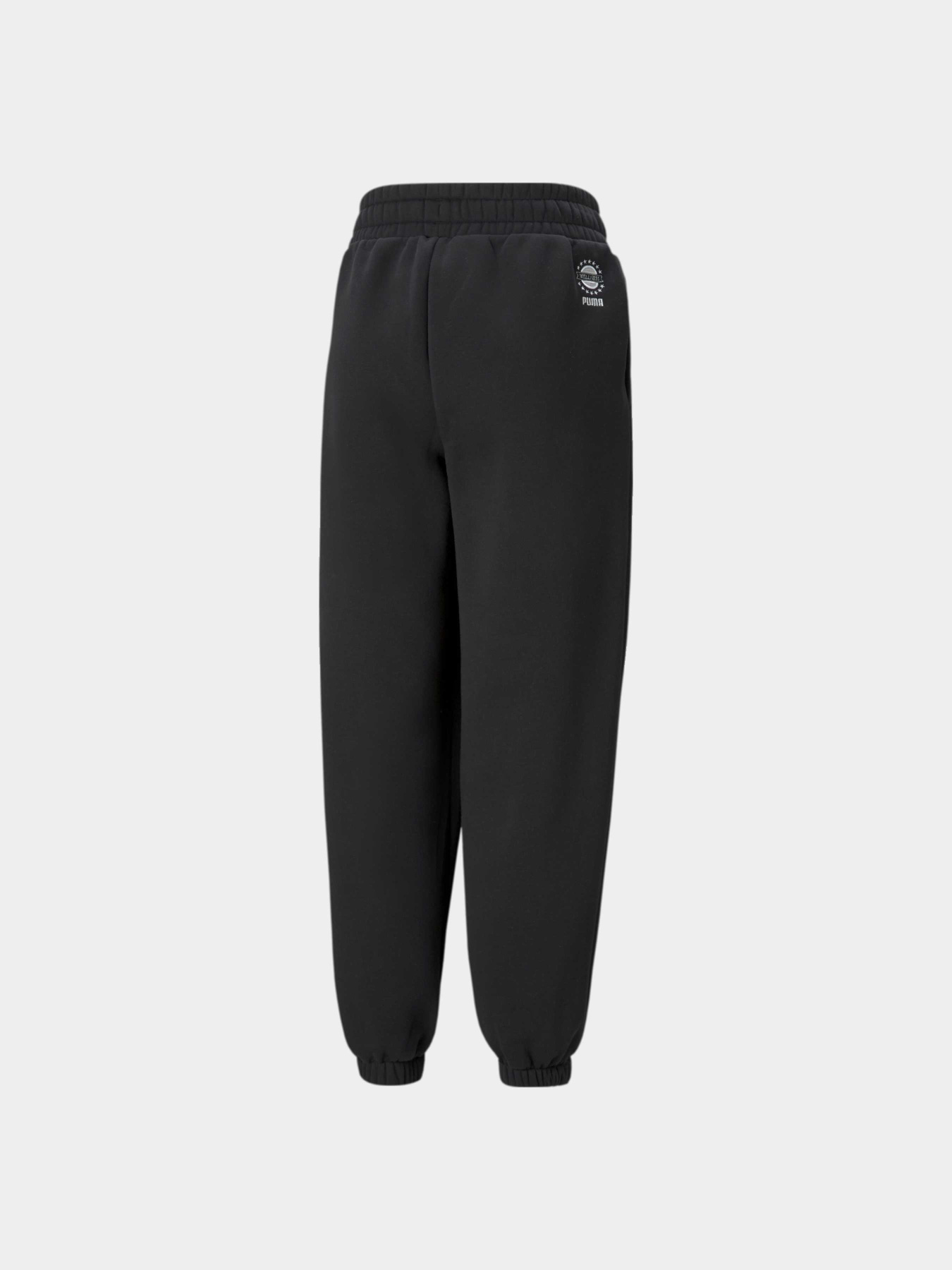 Штаны спортивные PUMA Wellnessclub Sweatpants модель 534330 Фото