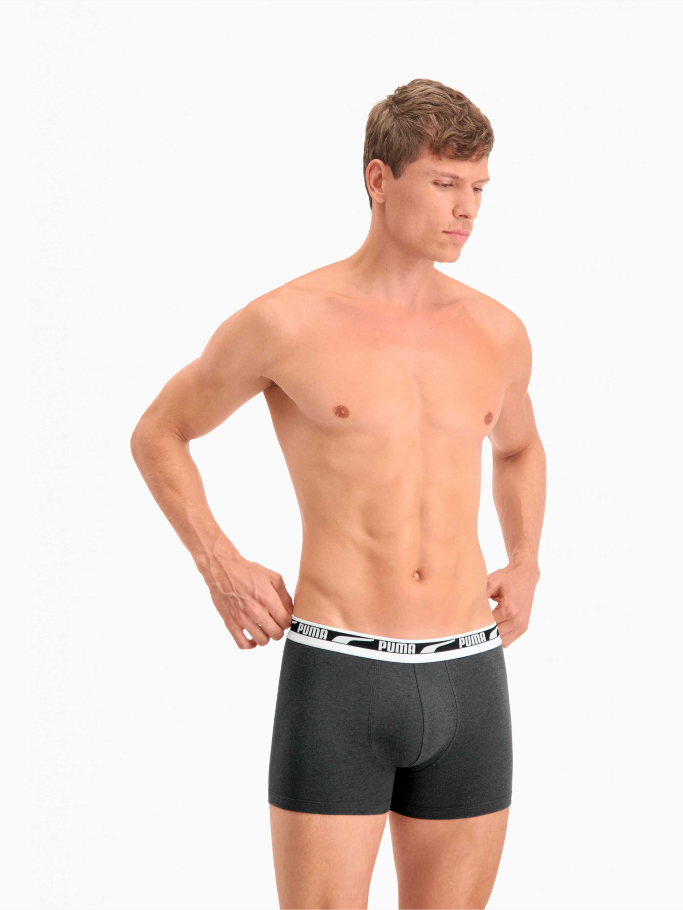 Набор трусов PUMA Men Multi Logo Boxer 2p модель 935533 Фото