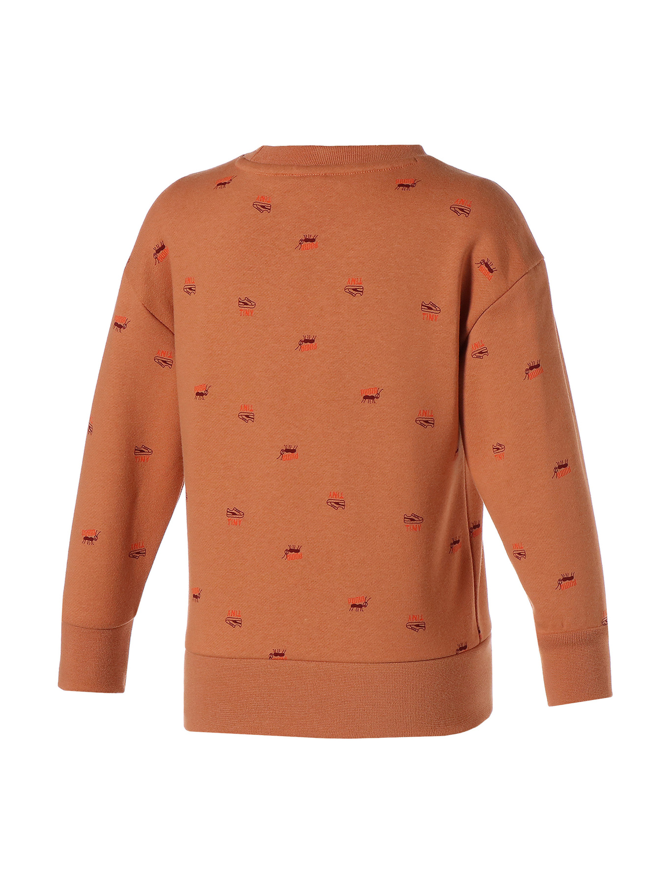 Свитшот PUMA модель 533993 Фото