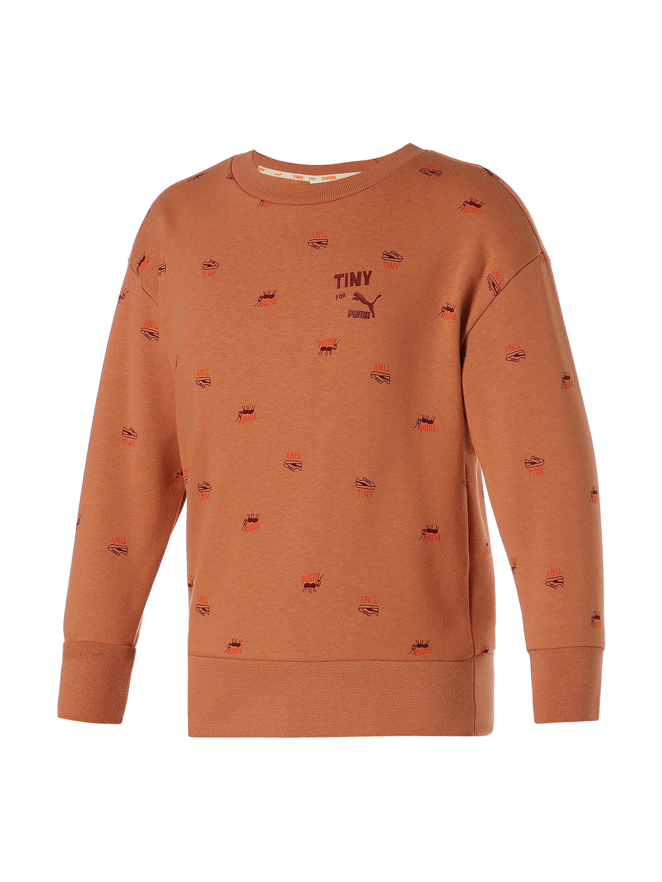 Свитшот PUMA модель 533993 Фото