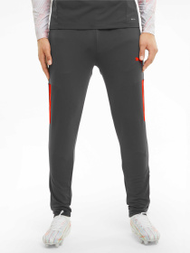 Штаны спортивные PUMA Teamliga Training Pants Pro модель 657332 Фото