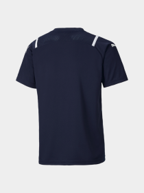 Спортивная футболка PUMA модель 705078 Фото