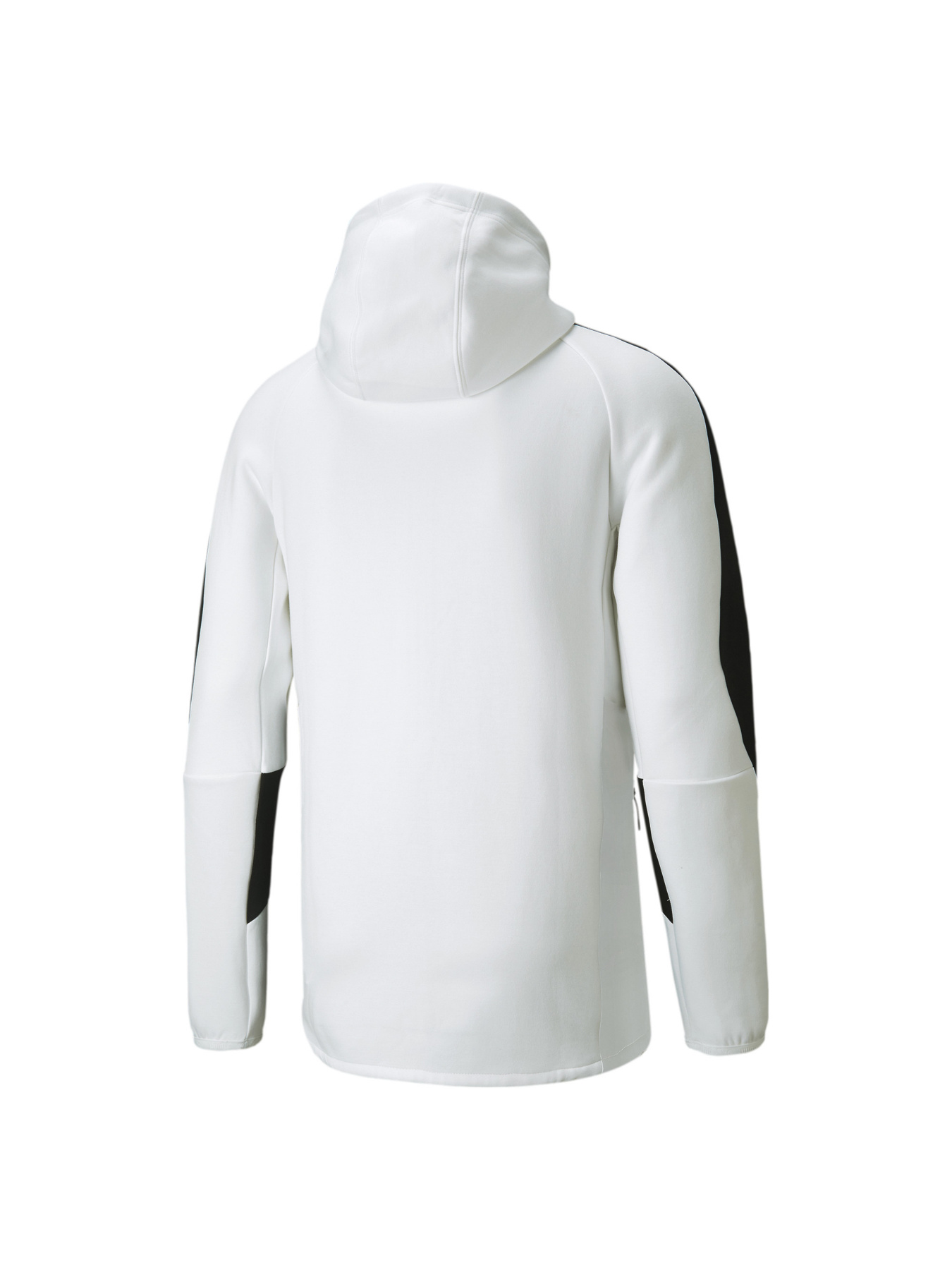 Кофта спортивная PUMA Evostripe Full-zip Hoodie модель 847401 Фото