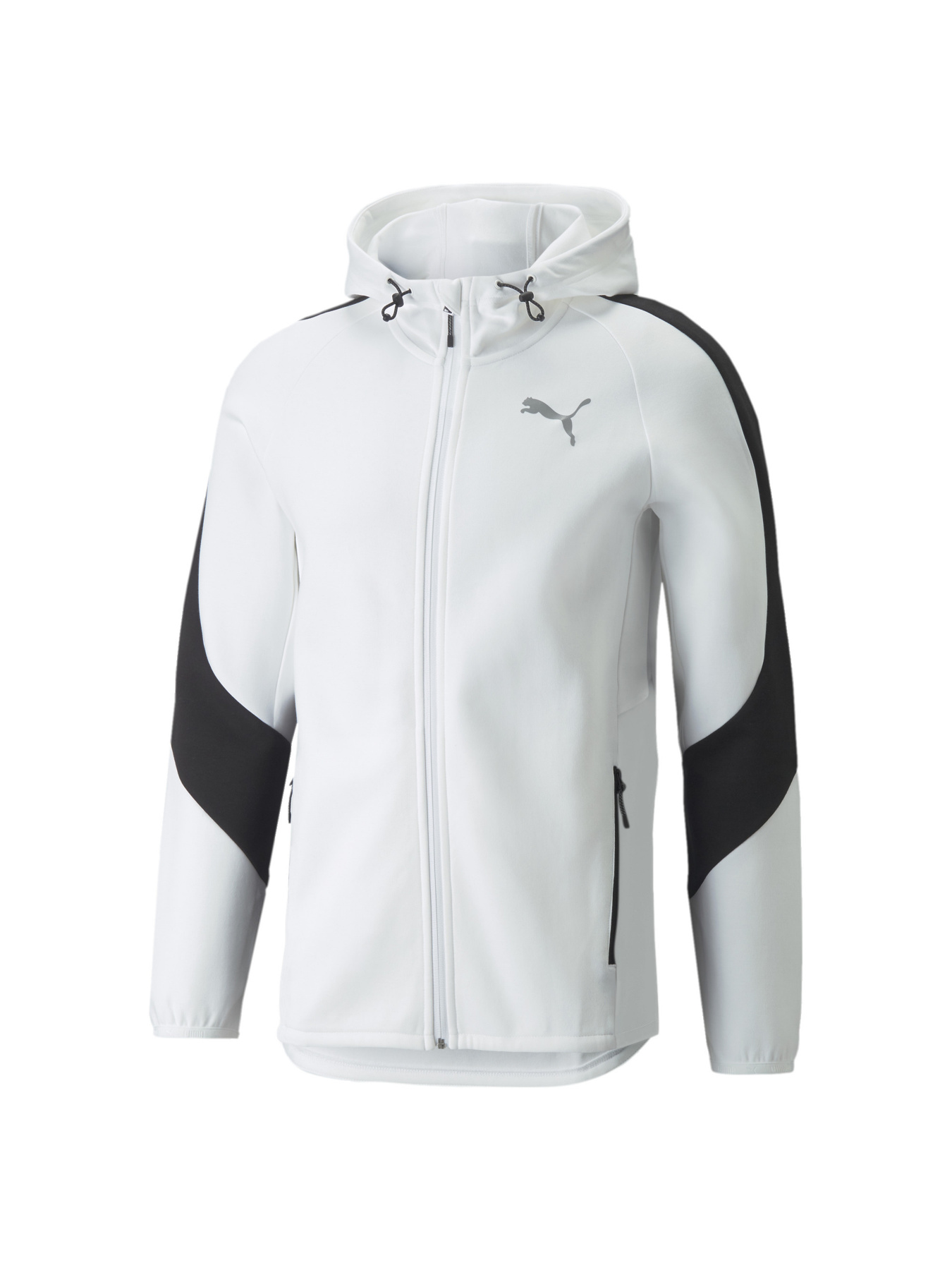 Кофта спортивная PUMA Evostripe Full-zip Hoodie модель 847401 Фото