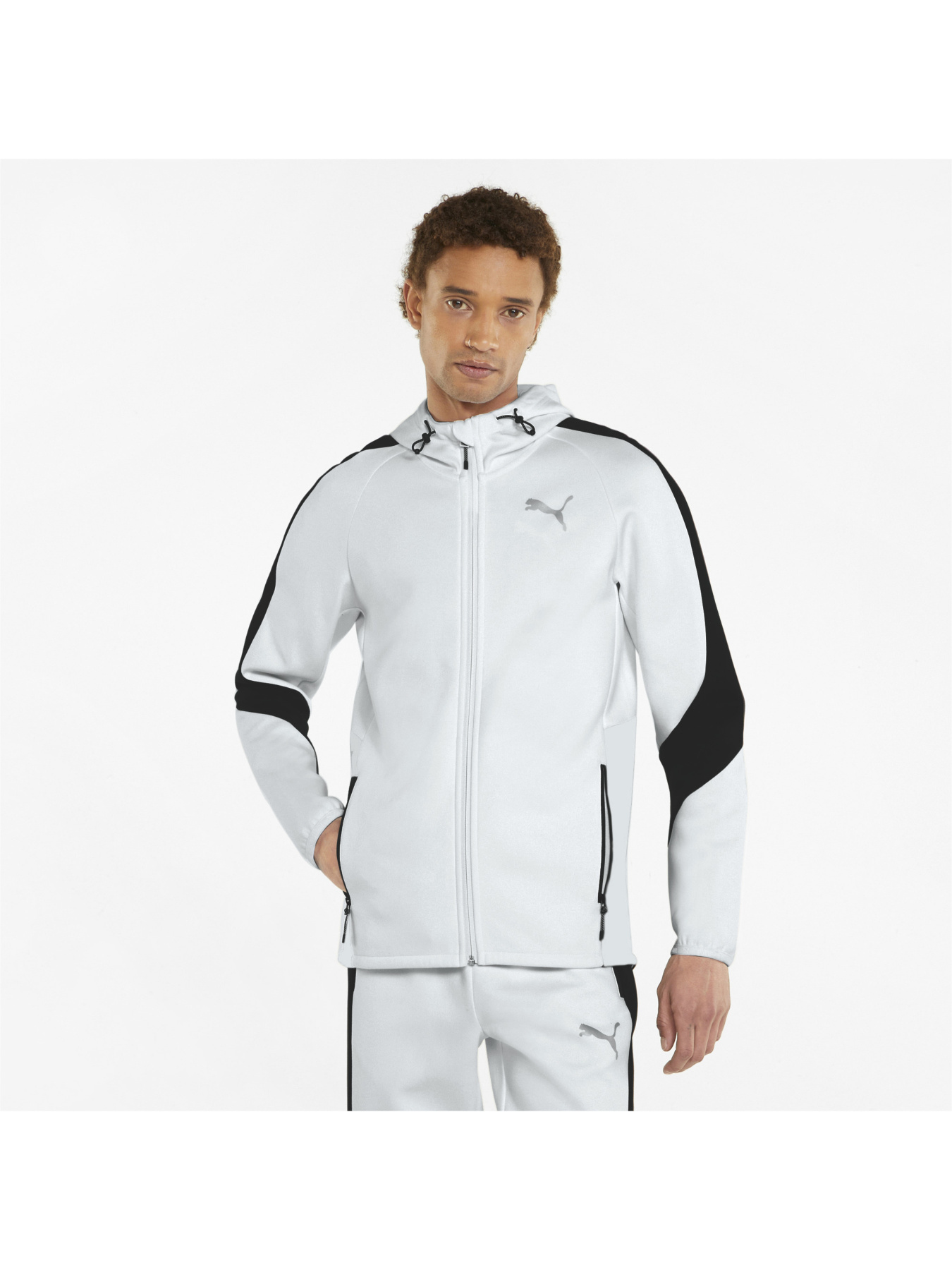 Спортивная кофта PUMA Evostripe Full-zip Hoodie модель 847401 Фото
