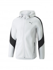 Спортивная кофта PUMA Evostripe Full-zip Hoodie модель 847401 Фото