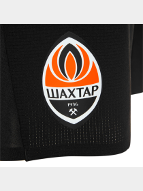 Шорты спортивные PUMA Fcsd Training Shorts модель 764109 Фото